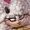 BluRent's icon