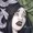 HexBags's icon
