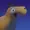 LaKriptaDelMilanezo's icon