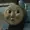 TankDan's icon
