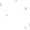 Konsminator's icon