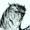 ZevendayZ's icon