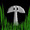 Mushroom's icon