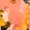 Dreamwavemod's icon
