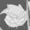 ALVTF's icon