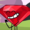 RubyBFDI's icon