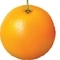 OrangesAreCool