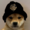DogGaming7332's icon