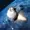 Felipe245's icon
