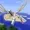 Naut1cus's icon
