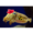 EMPcuttlefish21's icon