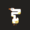 Pitxel's icon
