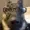 Cusey's icon