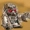 RonJon4196's icon