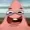 Maxlikesfoxes's icon