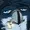 deja-blu's icon