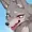 FeNNeX's icon