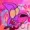 RandoSharko's icon