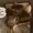 luhcah's icon