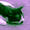 CATtaDAY's icon