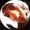 Mazej's icon