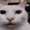 Zelmad's icon