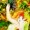 bsartzz's icon