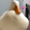 duckgaming456's icon
