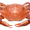 CrabWab's icon