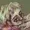 CAJV's icon
