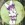 mushi11