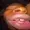 dolgrinhos's icon