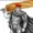 Daifiy's icon