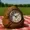 DingleberryClock's icon