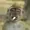 LasagneWafer's icon
