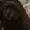 Biffle1324's icon
