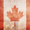 CanadianKing's icon
