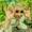 Khrocksss's icon