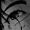 Luikonha's icon
