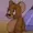 Quocdung's icon