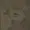 FallenMoonWolf's icon