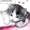 OuterRelic's icon