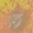 mvasdfg's icon