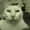 Elrock's icon