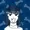 zalosu's icon