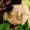 Borcheim's icon