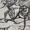 ALPHETTI's icon