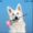 CandyDoggy's icon