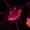 Joplexem's icon