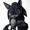 sasdoingstuff's icon
